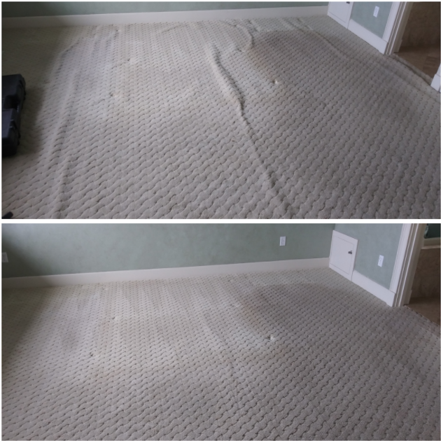 Professional Carpet Repair: Sometimes You Just Need a Good Stretch