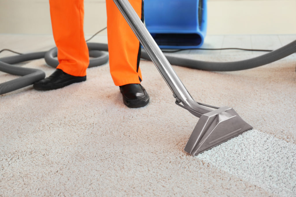 Carpet cleaning using vacuum by man